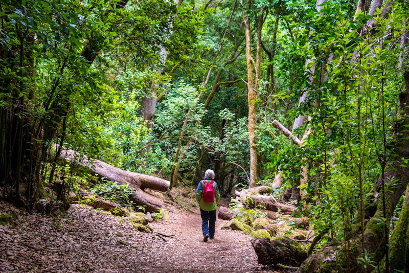 Wanderung bei El Cedro auf La Gomera - ©Salvador Aznar - Adobe Stock