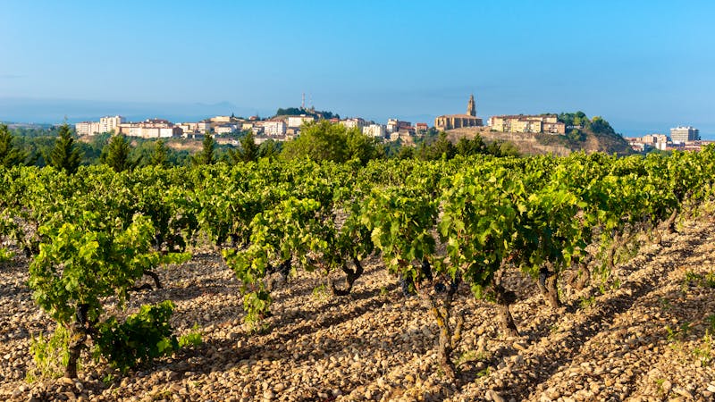 Haro in der Weinregion La Rioja - ©©Noradoa - stock.adobe.com
