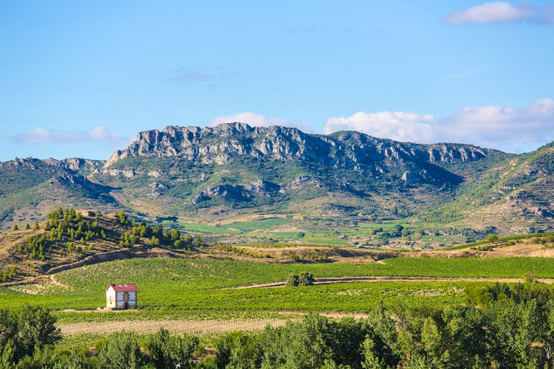 Weingebiet La Rioja bei Haro - ©©jorisvo - stock.adobe.com