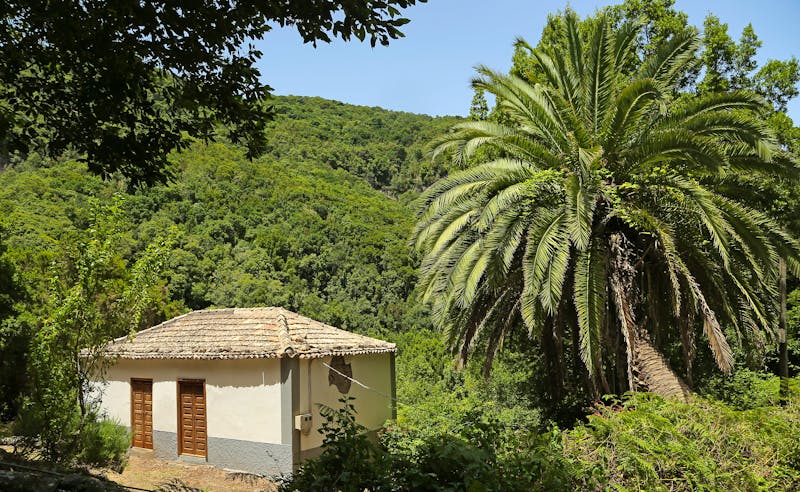 El Cedro, Parque de Garajonay auf La Gomera - ©Ivan Vieito Garcia - Adobe Stock