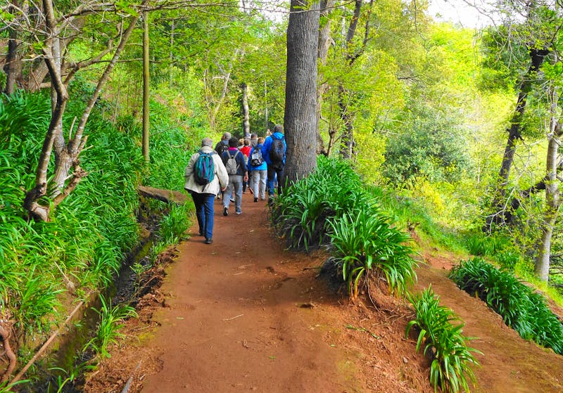Levada-Wanderung bei Camacha auf Madeira - ©Eberhardt TRAVEL - Martina Häselbarth