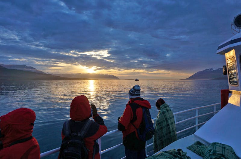 abendliche Walbeobachtung bei Akureyri in Island - ©Eberhardt TRAVEL - Stefanie Schneider