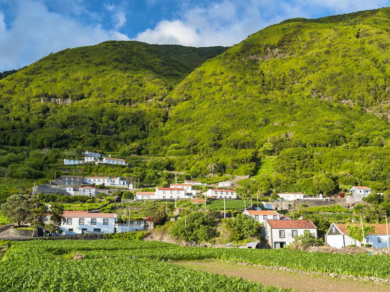 Faja dos Vimes auf der Insel Sao Jorge - &copy;Martin Zwick / Danita Delimont