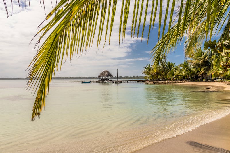 Playa Estrellas / Starfish Beach in Panama - ©chris - Adobe Stock