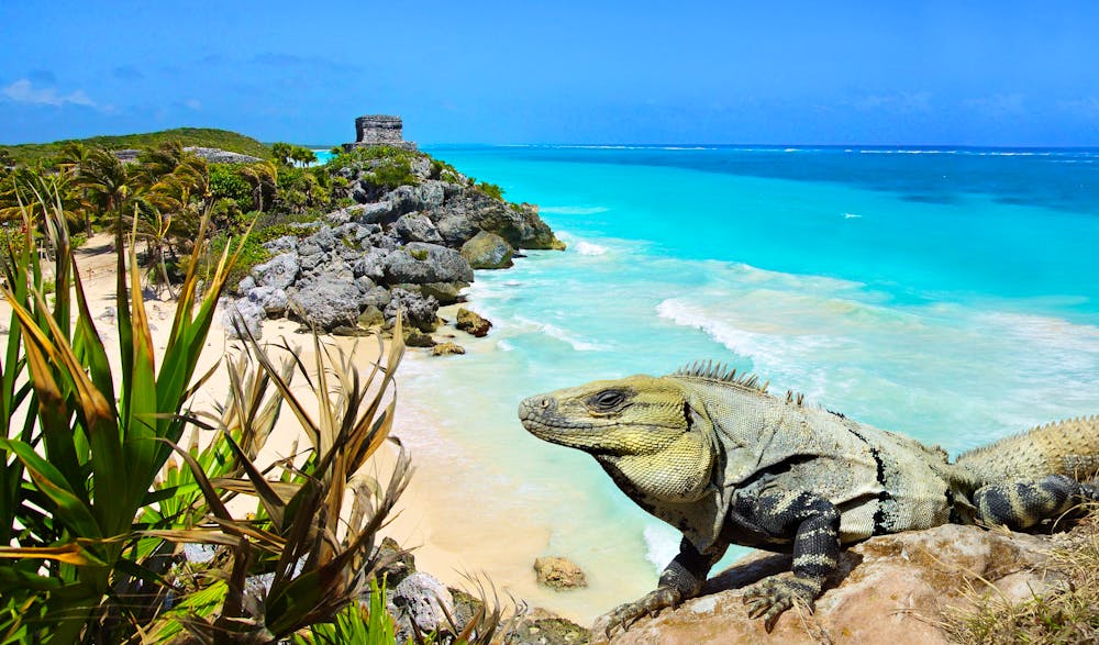 Tulum Mexiko &ndash; &copy; ©photlook - stock.adobe.com