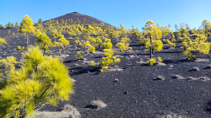Wandern in der Vulkanlandschaft von La Palma - ©Pixabay