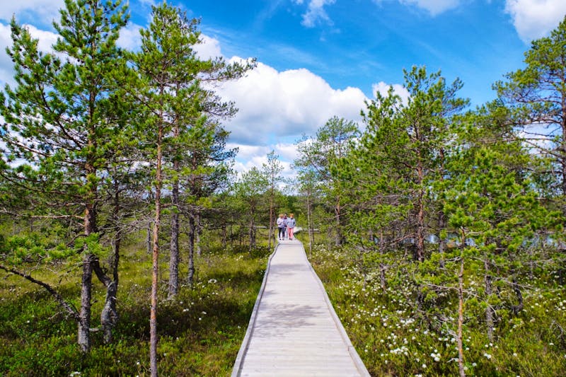 Lahemaa Nationalpark in Estland - ©Annett Müller - Eberhardt TRAVEL