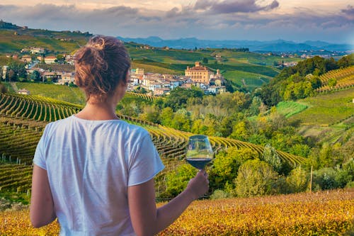 Blick auf Barbaresco &ndash; &copy; photomaticstudio - stock.adobe.com