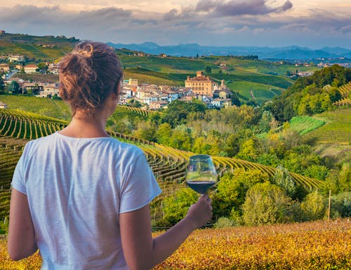 Blick auf Barbaresco – © photomaticstudio - stock.adobe.com