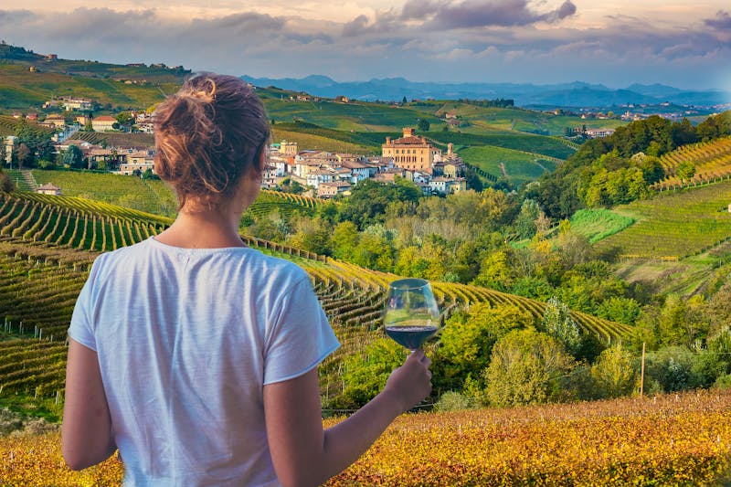 Blick auf Barbaresco - ©photomaticstudio - stock.adobe.com