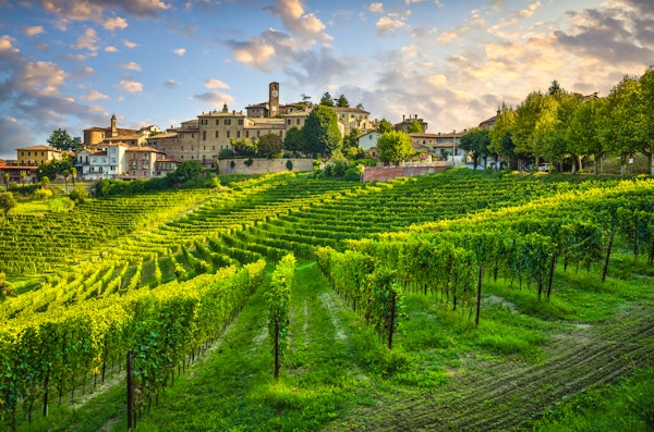 Neive - Weindorf im Piemont – © stevanzz - stock.adobe.com