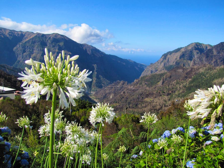 Fahrt über den Encumeada-Pass auf Madeira – © Jacob Spangenberg - Eberhardt TRAVEL