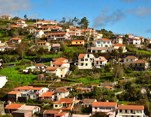 Camacha auf Madeira – © ©PackShot - stock.adobe.com