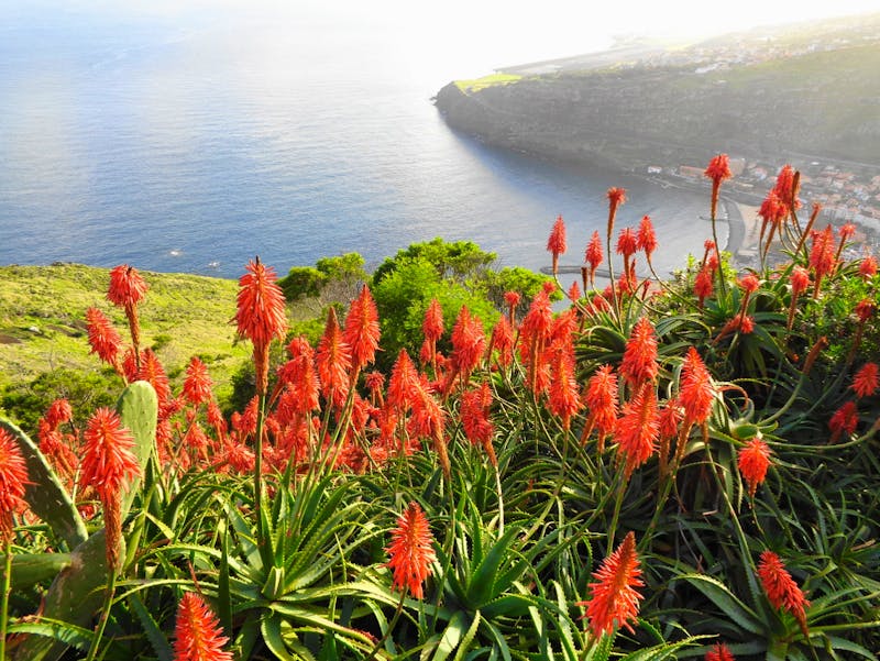 Blick vom Pico do Facho auf Machico - ©Martina Häselbarth - Eberhardt TRAVEL