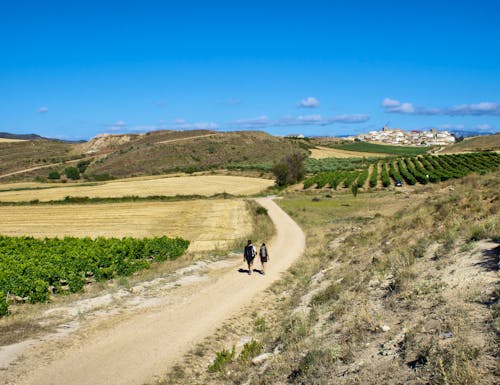 Jakobsweg in der Region La Rioja – © ©Gerhard Reus - stock.adobe.com