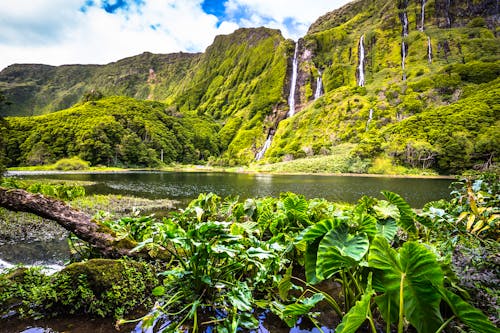 Wasserfälle auf der Azoren-Insel Flores &ndash; &copy; www.facebook.com / perszing1982travelphotography - Adobe Stock