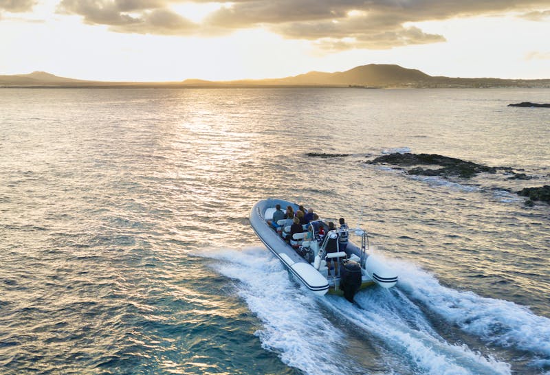 RIB-Boot - Schlauchboot-Tour - ©©Simone Tognon - stock.adobe.com