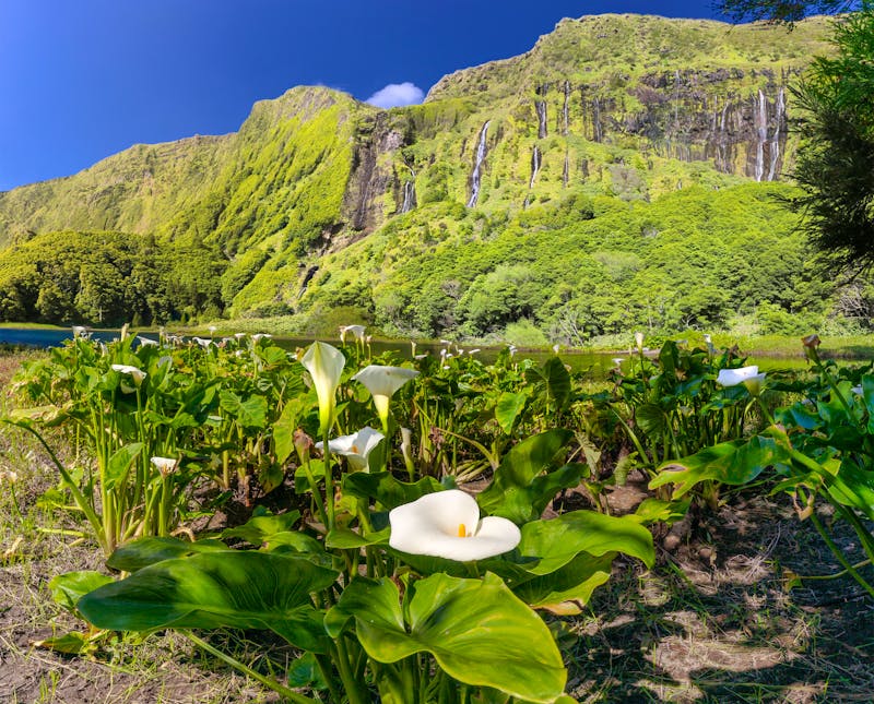 Lagoa dos Patos auf der Azoren-Insel Flores - ©©Henner Damke - stock.adobe.com