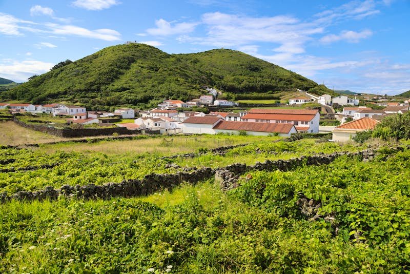 Grüne Hügel bei Santa Cruz auf Graciosa - ©Stefano - Adobe Stock