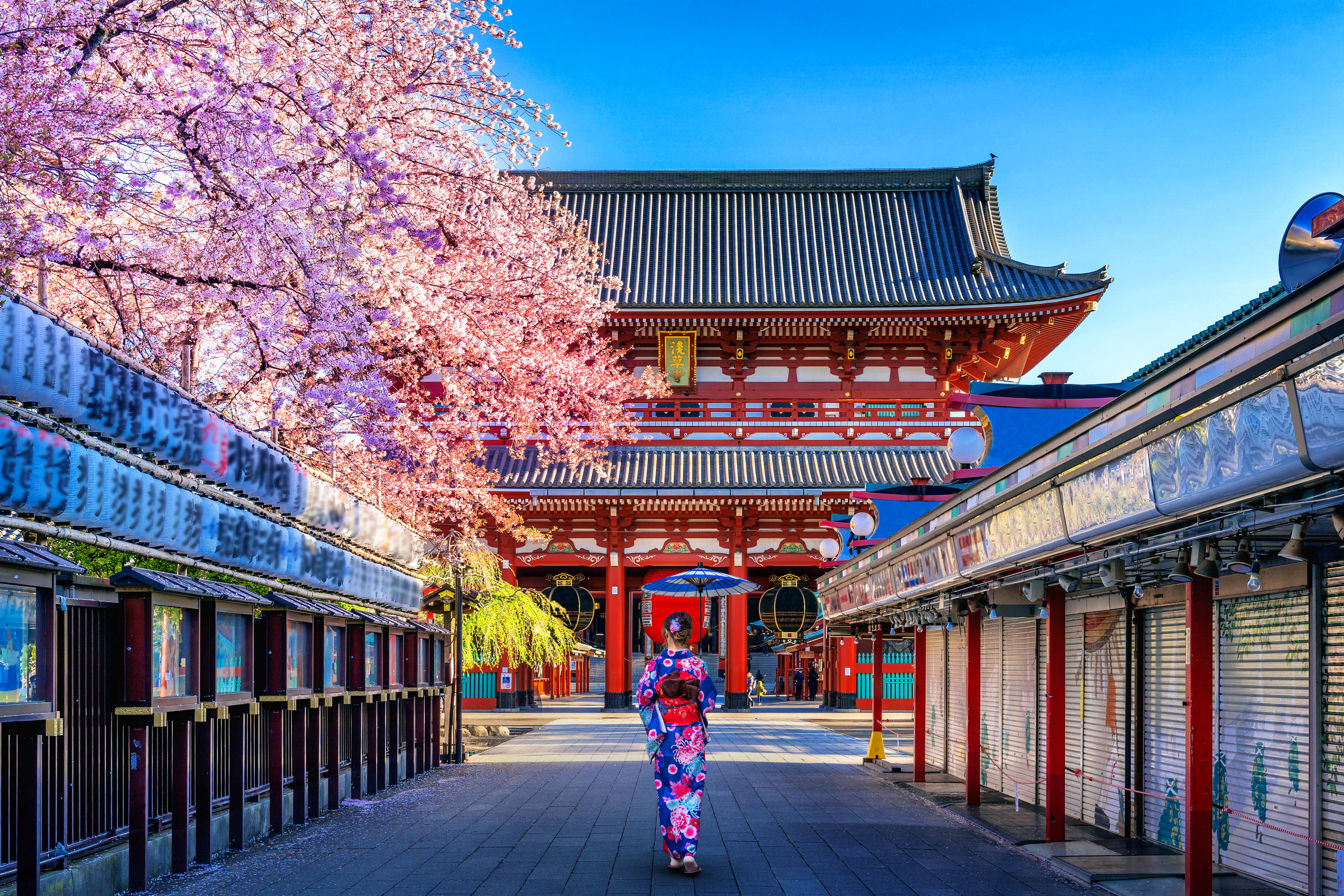 Unsere Japan-Rundreisen 2026/2027 – zwischen Tradition, Hightech und eindrucksvollen Naturerlebnissen