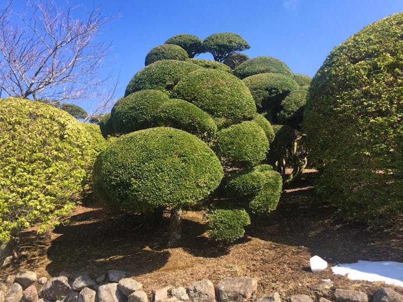 Hakone - Park am Ashi-See - ©Eberhardt TRAVEL GmbH -Patrick Fritzsche