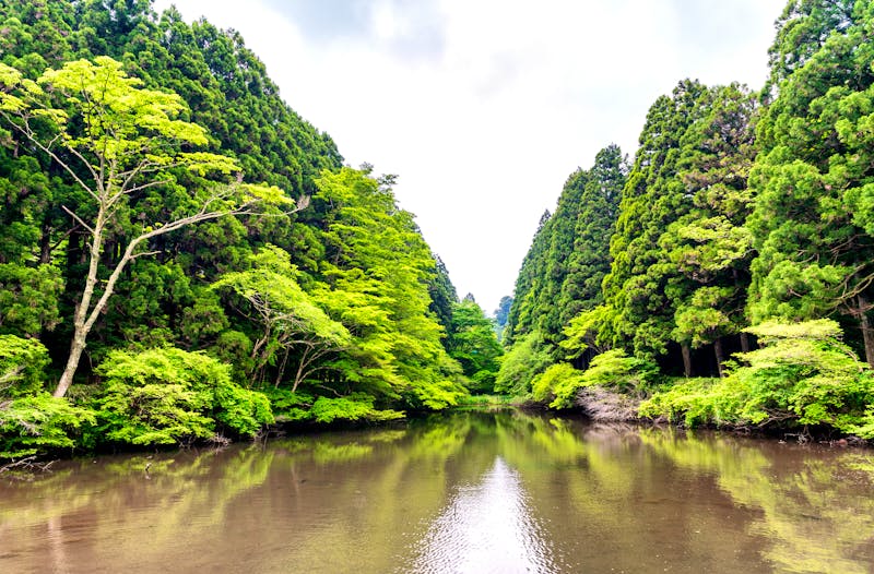 Hakone - Ashi-See - ©jovannig - stock.adobe.com