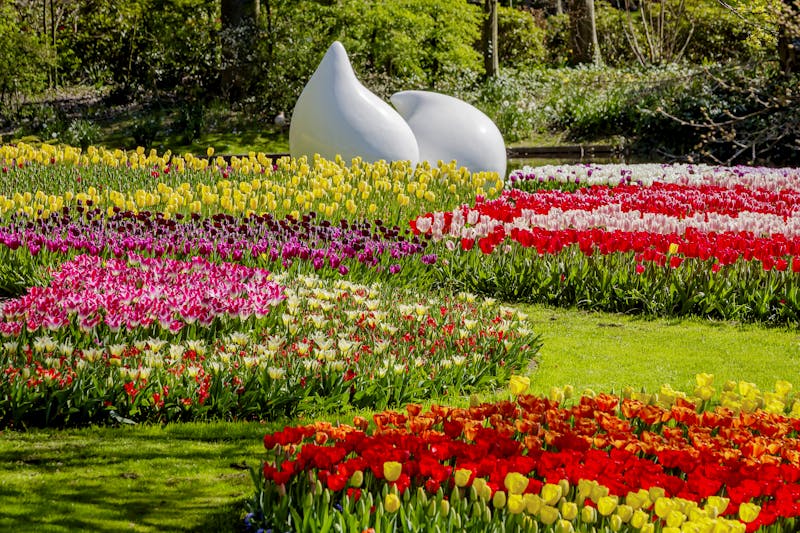Blütenpracht aus Tulpen im Keukenhof im April - Niederlande - ©Keukenhof