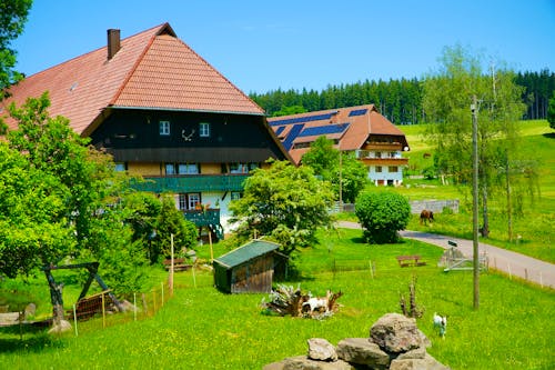 Bauernhöfe im Schwarzwald &ndash; &copy; ©PhotoArt Thomas Klee - stock.adobe.com