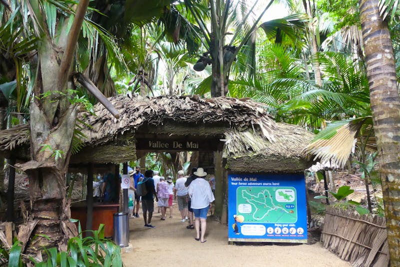 Vaille de Mai - Palmenwald der Coco de Mer auf Praslin - ©Frank Nimschowski - Eberhardt TRAVEL