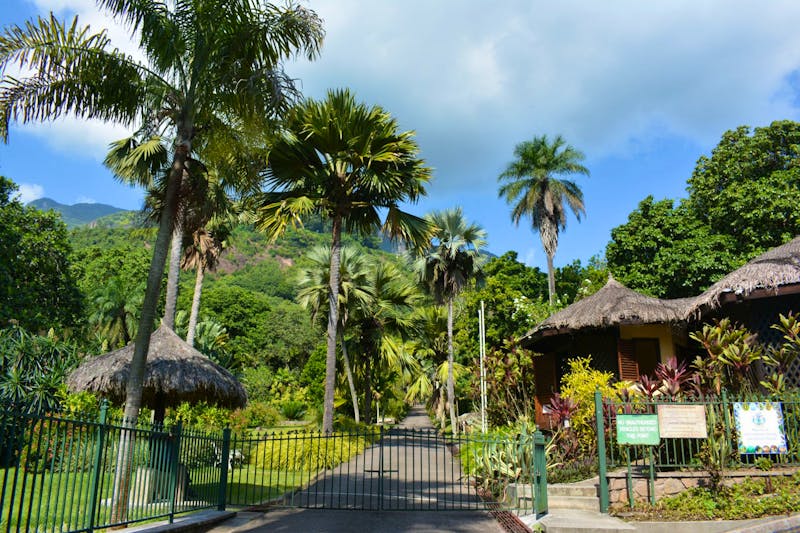 Victoria auf Mahé - Eingang zum botanischen Garten - ©Franziska Barthel - Eberhardt TRAVEL