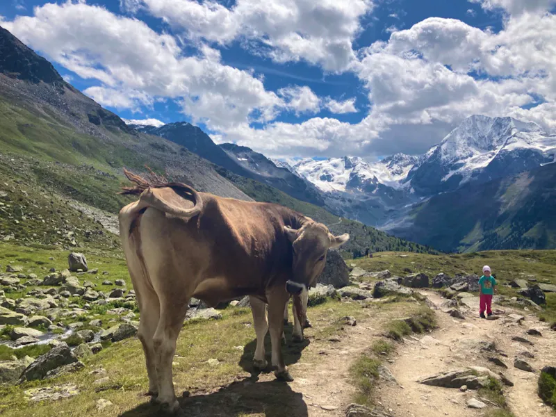 Auf dem Weg zur Düsseldorfer Hütte - &copy;Mathias Schirmer