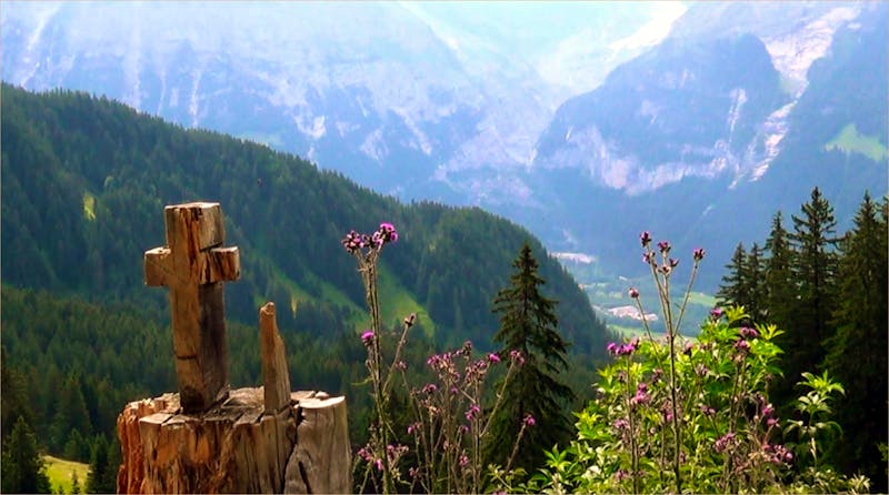 Busapl im Berner Oberland - ©Doris Schmied