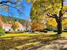 Kurort Bad Elster in Sachsen im Herbst – © Animaflora PicsStock - stock.adobe.com