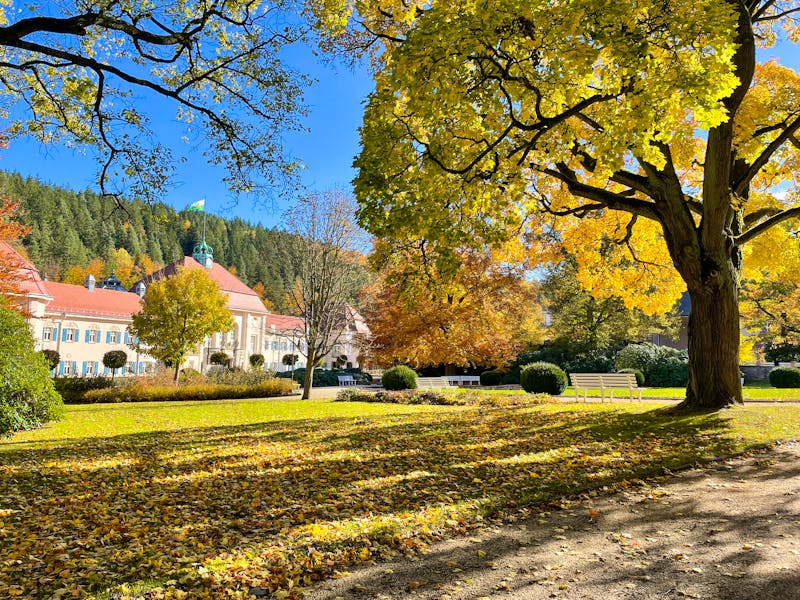 Kurort Bad Elster in Sachsen im Herbst – ©Animaflora PicsStock - stock.adobe.com