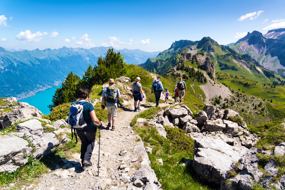 Wandergruppe im Berner Oberland, Schynige Platte - Schweiz &ndash; &copy; markus thoenen - stock.adobe.com