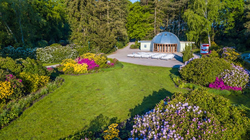 Graal-Müritz an der Ostsee - Rhododendronpark im Kurpark – © Maik - stock.adobe.com