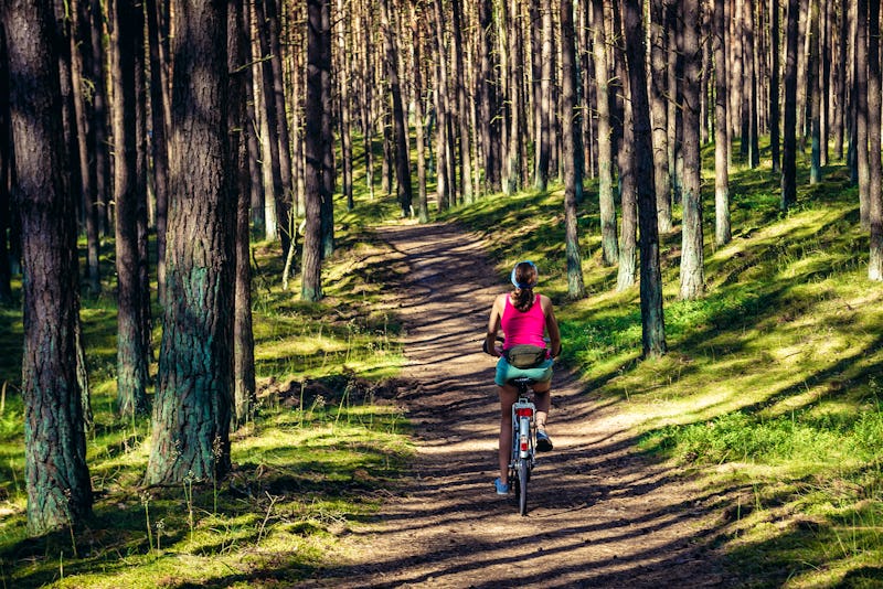 Misdroy - Fahrradfahren im Wald des Wolliner Nationalpark – © Fotokon - stock.adobe.com