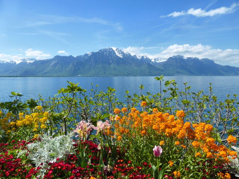 Montreux - Blumenpracht an der Promenade - ©Claudia Bernhardt - Eberhardt TRAVEL