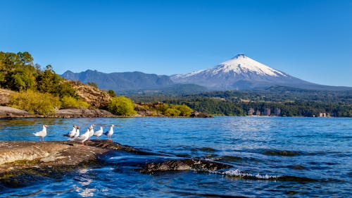 Villarrica Vulkan in Pucon - Chile &ndash; &copy; Loïc Bourgeois - stock.adobe.co