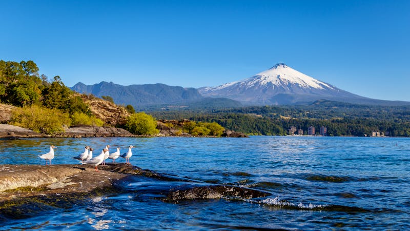 Villarrica Vulkan in Pucon - Chile - ©Loïc Bourgeois - stock.adobe.co