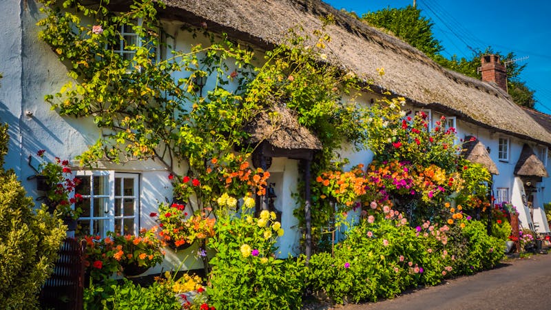 Dorset, Cotswolds - ©Vivvi Smak - stock.adobe.com
