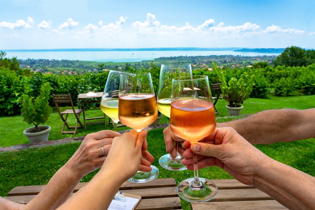 Weinprobe in der Nähe von Heviz – © Bernadett - stock.adobe.com