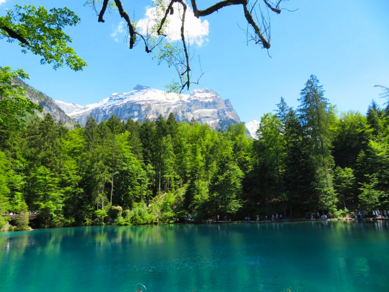 Naturpark Blausee - ©Annette Weise