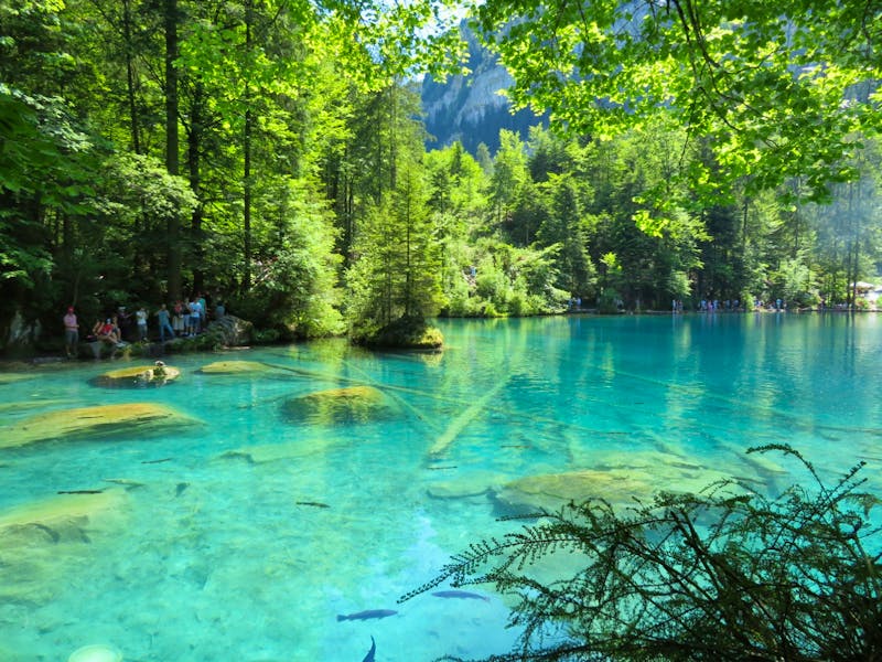 Naturpark Blausee - ©Annette Weise
