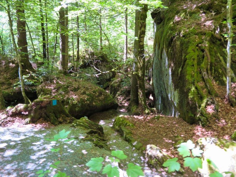 Naturpark Blausee - ©Annette Weise