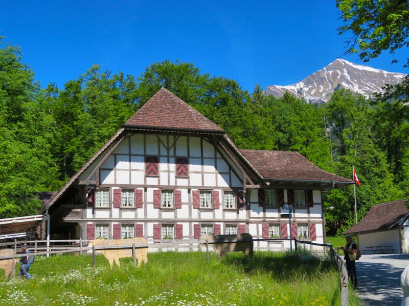 Schweizerisches Freilichtmuseum Ballenberg - ©Annette Weise