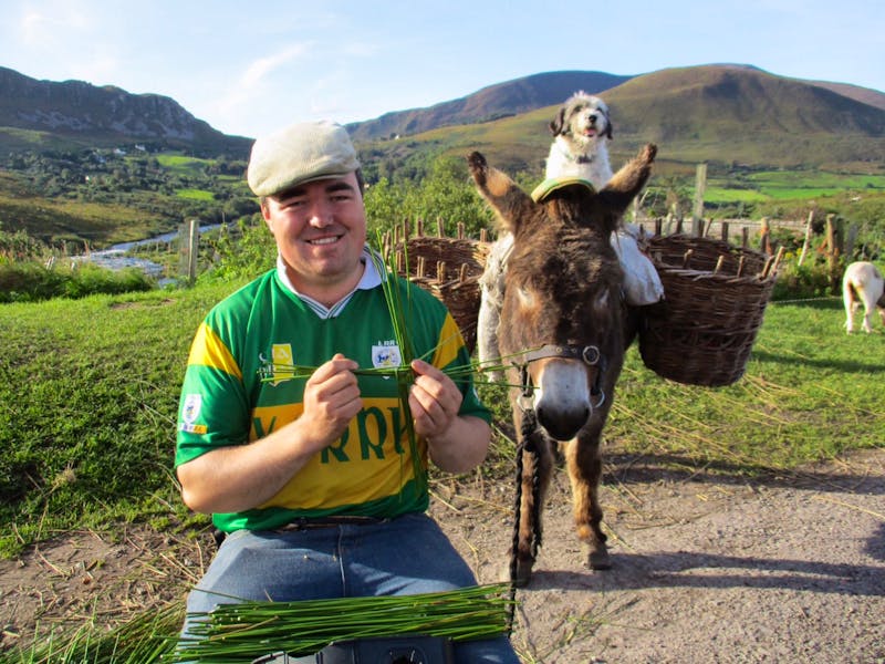 Ring of Kerry - Schäfer - ©Constanze Maißel - Eberhardt TRAVEL