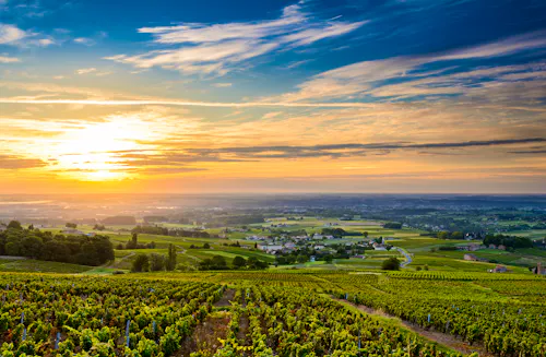 Weinanbaugeiet Beaujolais bei Lyon in Frankreich &ndash; &copy; FONTAINE Gaël - Adobe Stock