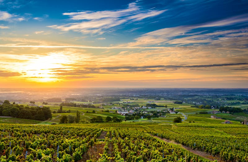 Weinanbaugeiet Beaujolais bei Lyon in Frankreich - ©FONTAINE Gaël - Adobe Stock