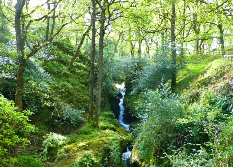 Poulanass-Wasserfall - Glendalough - ©Ralf Kuchenbecker - Eberhardt TRAVEL